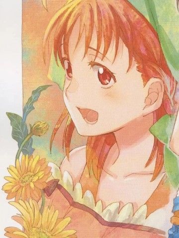 (C105)未能成功投递