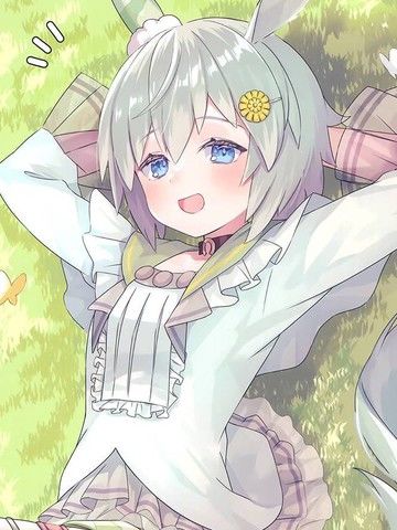 (C99)UmaMusumeCollection(ウマ娘プリティーダービー)