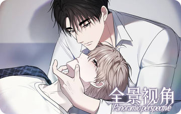 全景视角