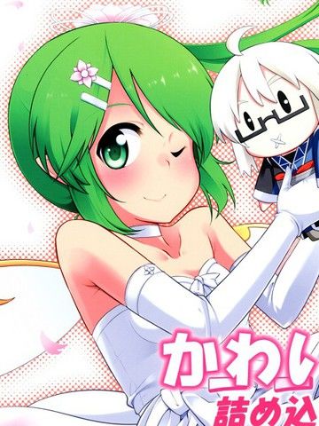 可爱的我已经包装好了