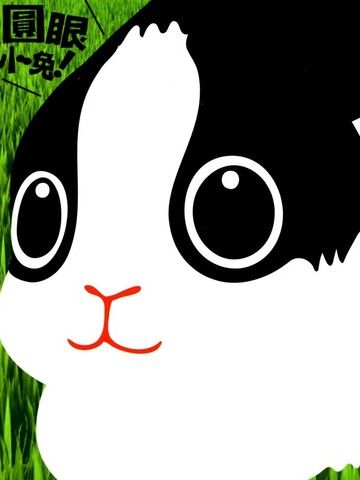 圆眼小兔