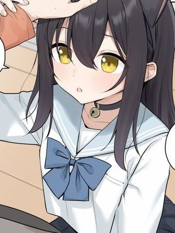 妹妹每天变猫一小时