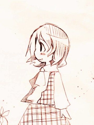 幽香某某花儿秘密