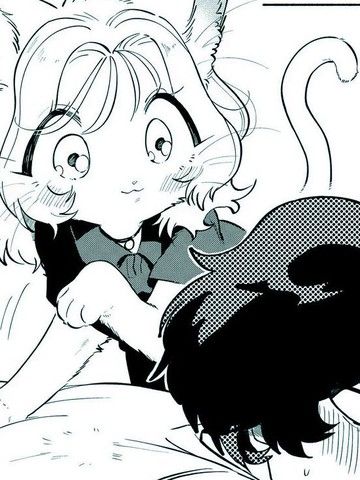 我才不会变成兽人控