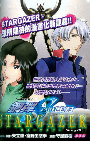 机动战士高达SEEDC.E.73STARGAZER