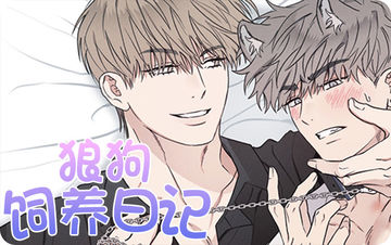 狼狗饲养日记