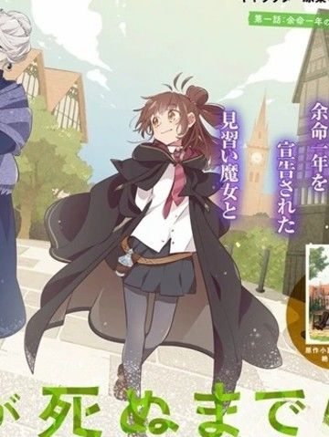 直到某魔女死去结束的话语与开始的眼泪