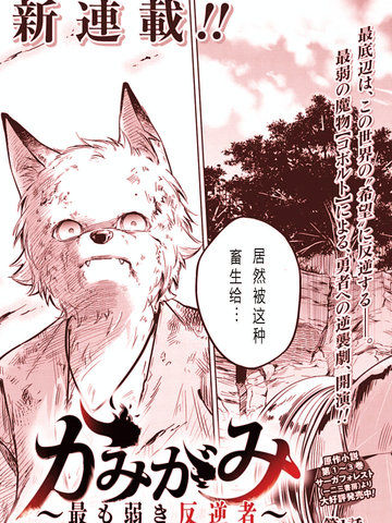 神与神最弱的反击者