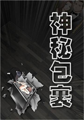 神秘包裹 - 神秘包裹