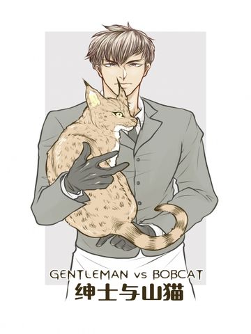 绅士与山猫