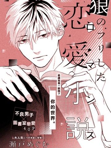 虚假狼君的恋爱小说